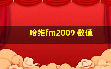 哈维fm2009 数值